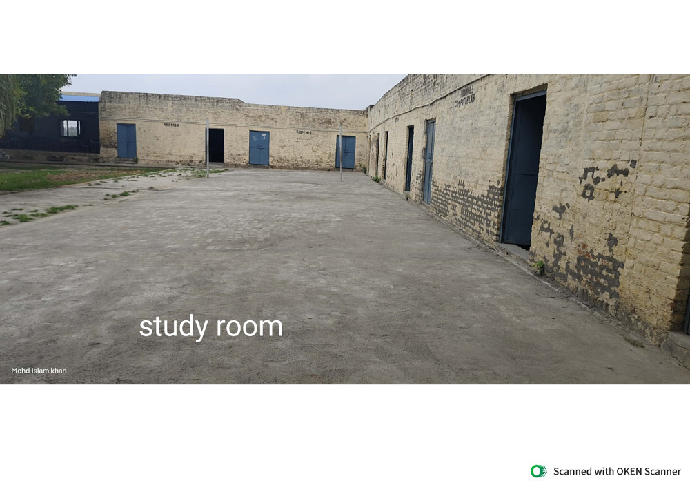 Image-6